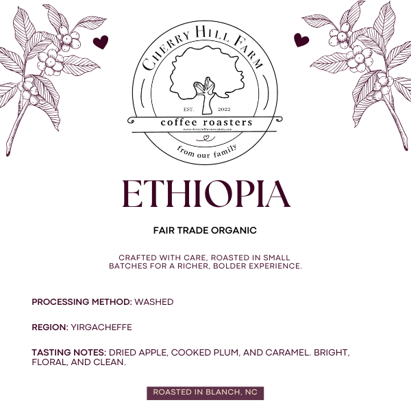 Ethiopia – Yirgacheffe (Fair Trade Organic | Washed | Grade 1 – Banko Gotiti)